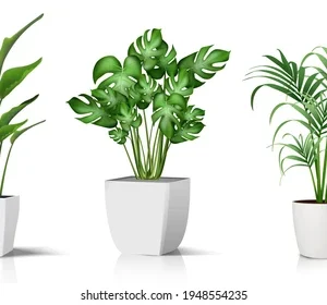 collection-3d-realistic-vector-icon-260nw-1948554235